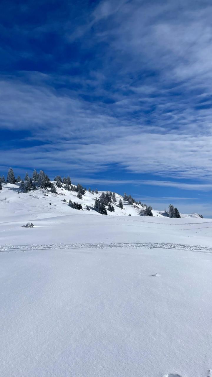Sortie de la sapinière, le plateau s'ouvre sous la mer de nuages