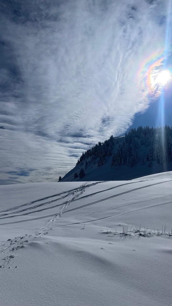Soleil bas et traces fraîches, un instant suspendu